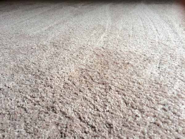 Plush Carpet Installation in Stamford