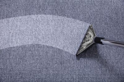 Professional Carpet Extraction